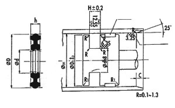 活塞迫緊 PISTON SEAL